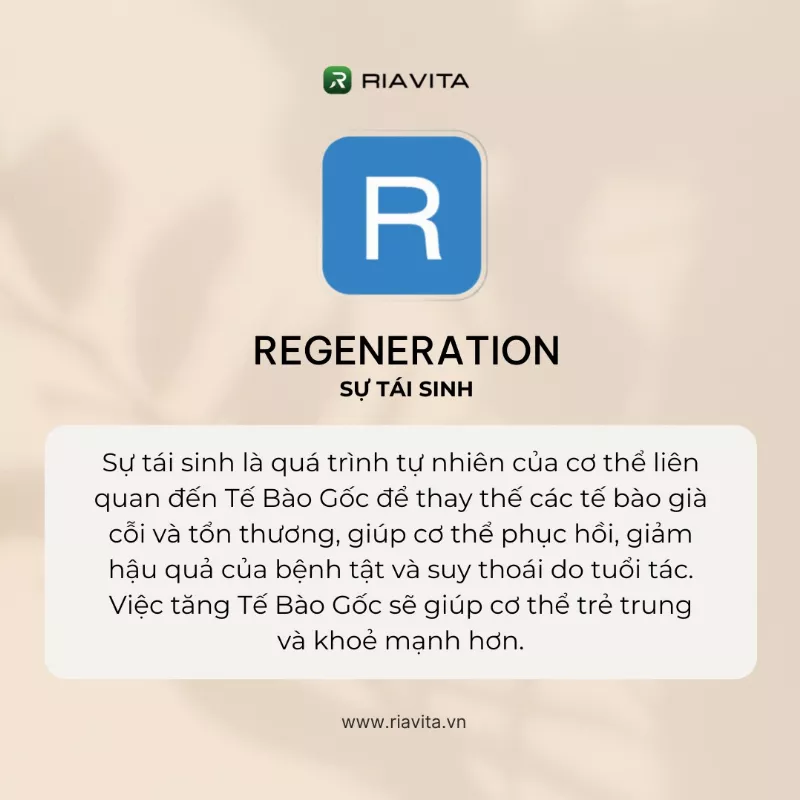 647259631_932157052690090_1670427539122373388_n (1)1772665517.webp